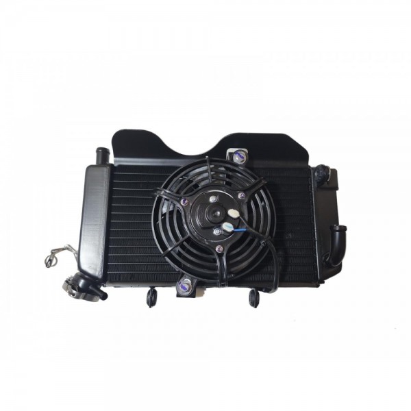 Cf Moto 250nk Radyator (2023) Orj&hellip;